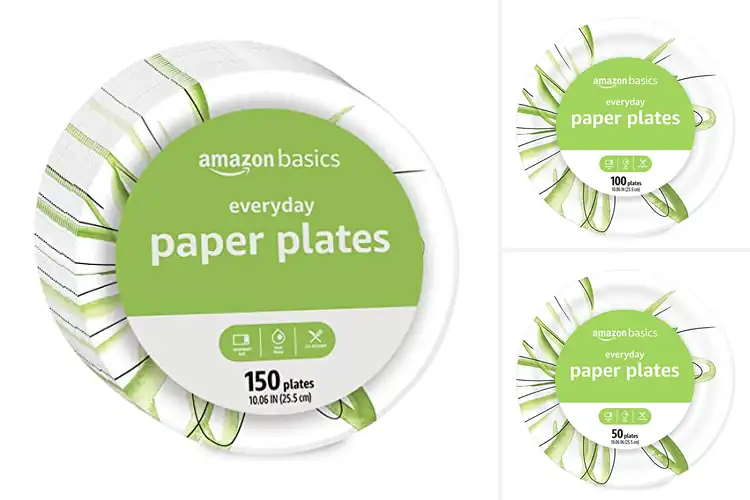 Detailed view of 10 Best 10-Inch Disposable Paper Plates for Easy Cleanup