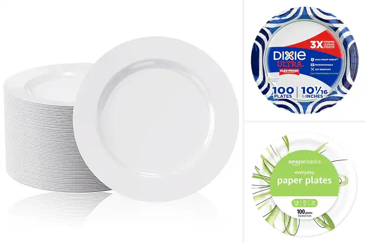 Detailed view of 10 Best 100-Count Disposable Dinner Plates: Secure for Big Events