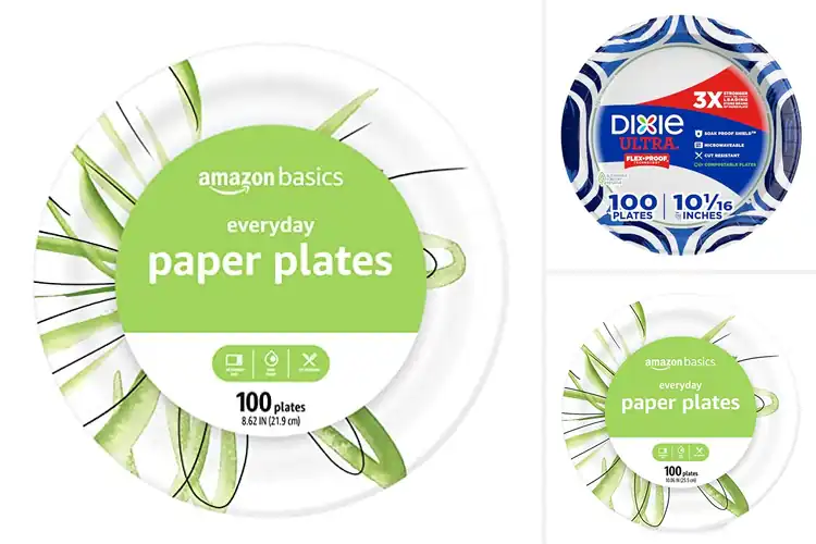 Detailed view of 10 Best 100 Count Plates for Sturdy, Affordable Feeding Solutions