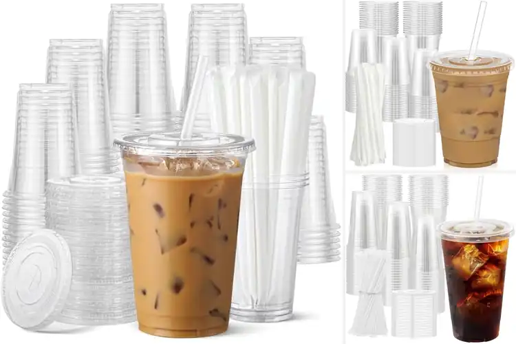 Detailed view of 10 Best 100 Pack Cups With Lids And Straws