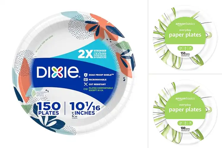Detailed view of 10 Best 10Inch Disposable Plates For Everyday Meals – Easy Dining