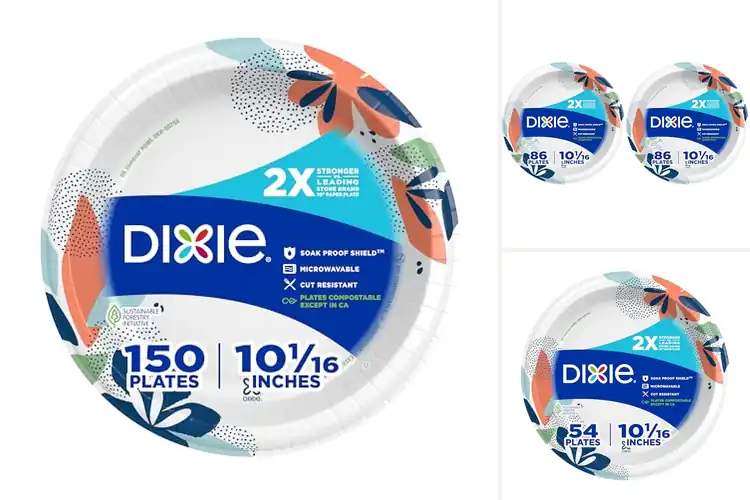 Detailed view of 10 Best 2X Stronger 10 Inch Disposable Plates – Tough & Easy