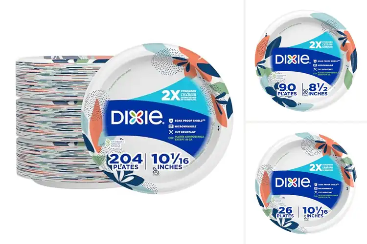 Detailed view of 10 Best 2X Stronger Paper Plates: Durable for Any Meal