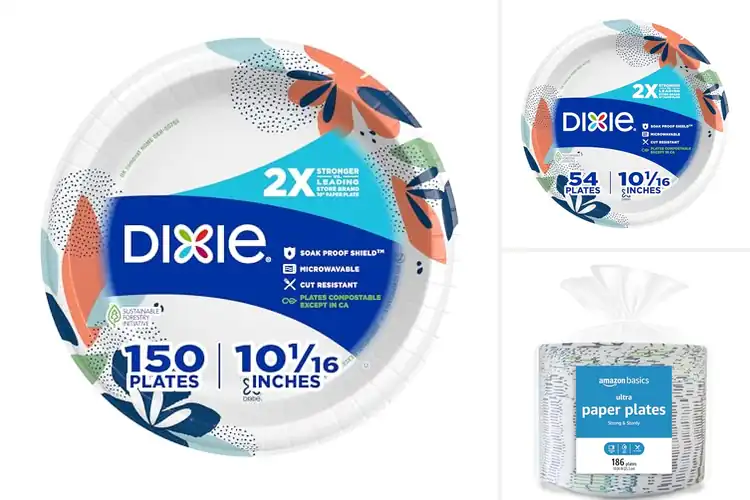 Detailed view of 10 Best 2X Strongest 10 Inch Paper Plates: No More Mess