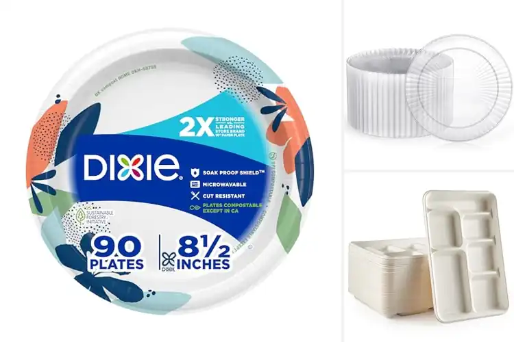 Detailed view of 9 Best 90-Count Disposable Plates: Stay Firm & Clean