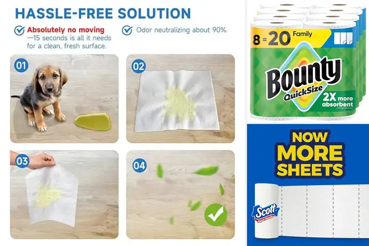 Detailed view of 10 Best Absorbent Paper Towels For Quick Cleanups – Tested