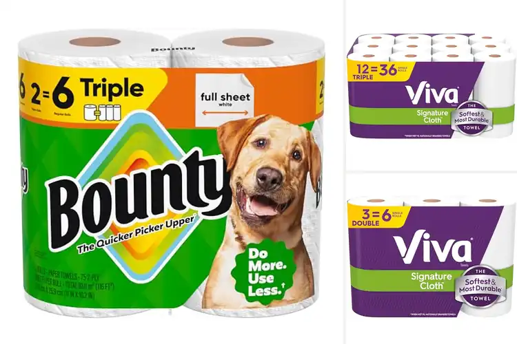 Detailed view of 10 Best Awarded Paper Towels: Clean Up Messes Fast
