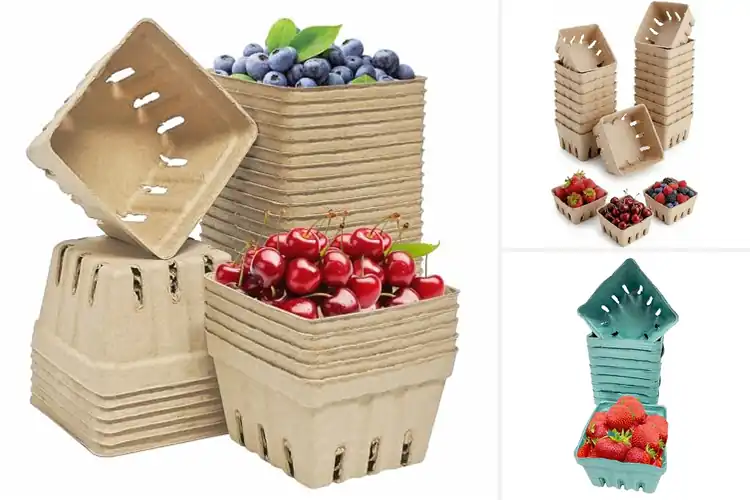 Detailed view of Best Berry Baskets