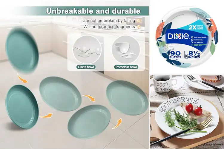 Detailed view of 10 Best Breakfast Plates for Enjoyable Mornings