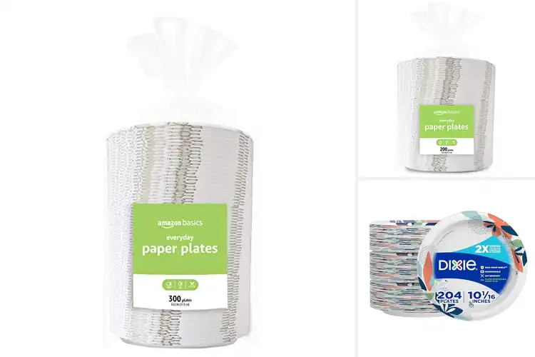 Detailed view of 10 Best Bulk Plates for Easy, Eco‑Friendly Party Serving