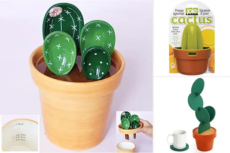 Detailed view of 10 Best Cactus Gadgets to Boost Style & Save Time