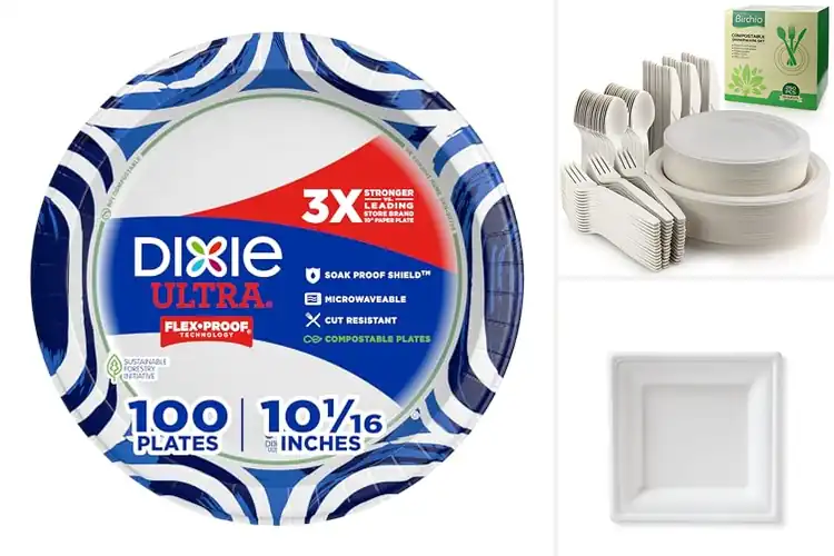 Detailed view of 10 Best Catering Paper Plates — Sturdy, Soak-Proof Picks