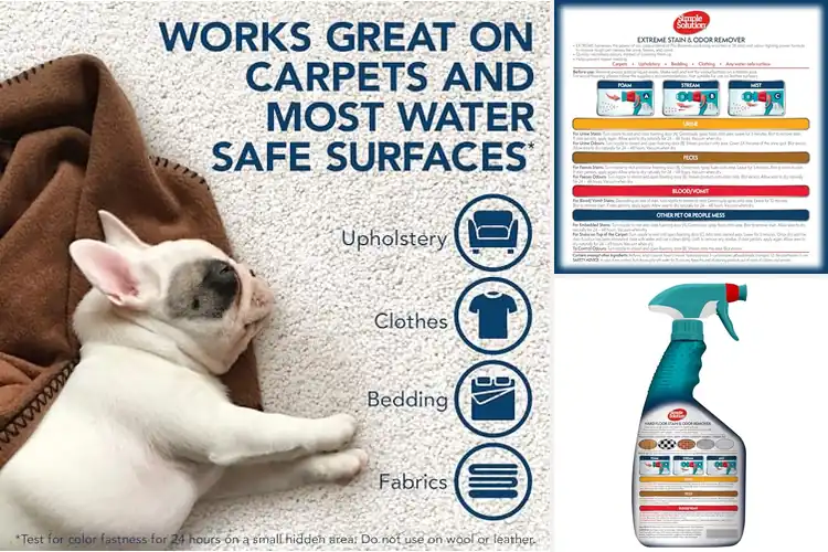 Detailed view of Best Cleanup Solutions