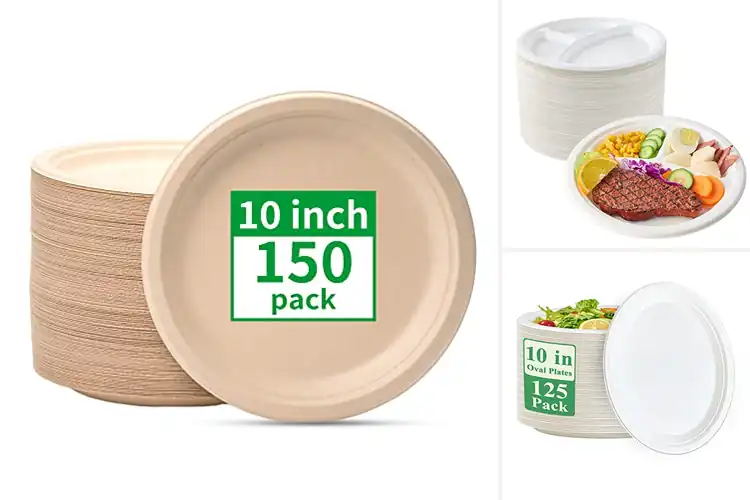 Detailed view of 10 Best Compostable Except In CA 10Inch Plates for Easy Cleanup