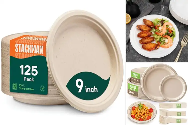 Detailed view of 10 Best Compostable Paper Plates: Eco-Friendly & Strong