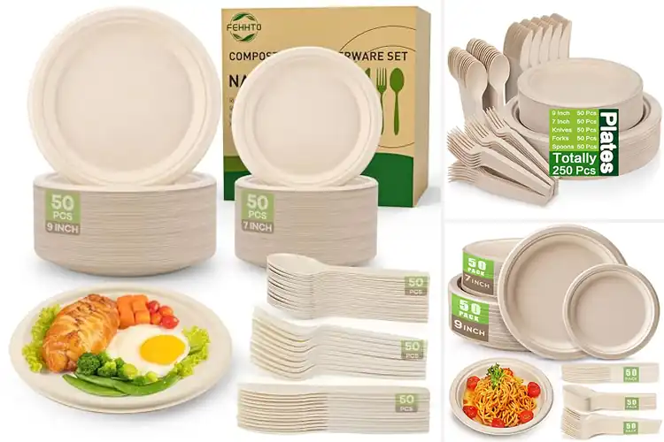 Detailed view of 10 Best Compostable Party Plates for Eco-Friendly Hosting