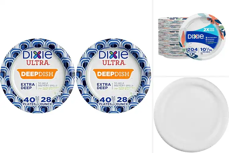 Detailed view of 4 Best Convenience Pack Dixie 204 Count 10In Plates – Easy Meals