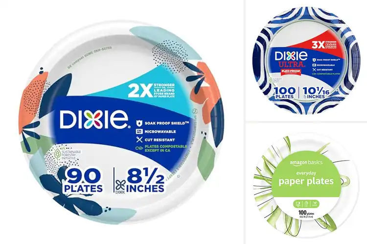 Detailed view of 10 Best Convenient Paper Plates: Easy Meals