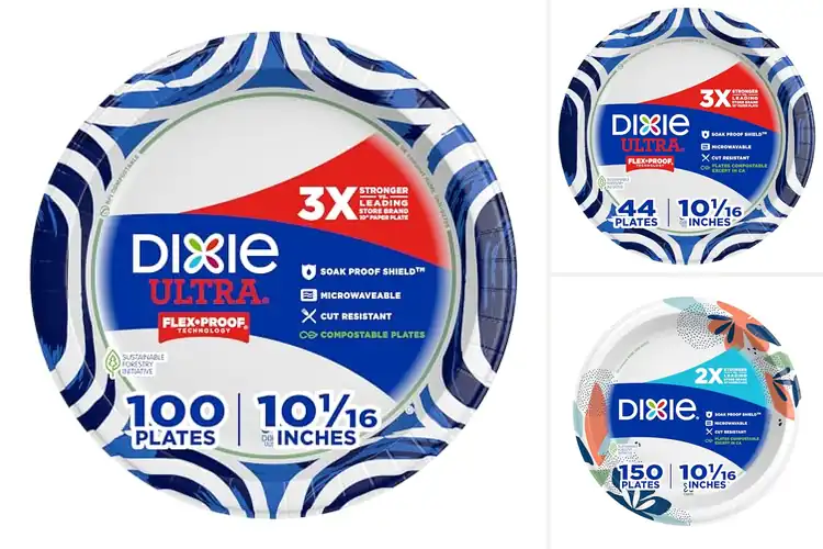 Detailed view of 10 Best Cut Resistant 10Inch Dinner Plates for Messy Foods