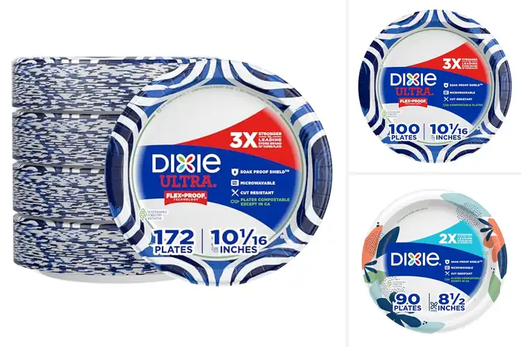 Detailed view of 10 Best Cut Resistant Disposable Plates For Messy Foods Easy