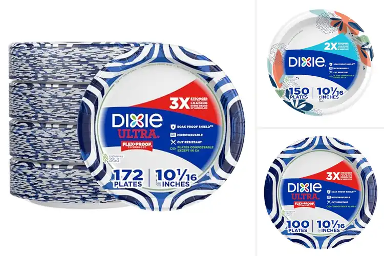 Detailed view of 10 Best Cut Resistant Dixie 10In Disposable Plates — Strong