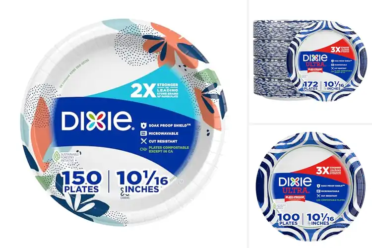 Detailed view of 10 Best Cut Resistant Soak Proof Paper Plates 10 Inch‑Tough