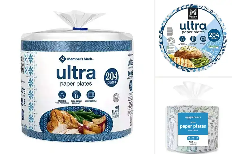 Detailed view of 10 Best Disposable Dinner Plates 10 Inch 204 Count Strong