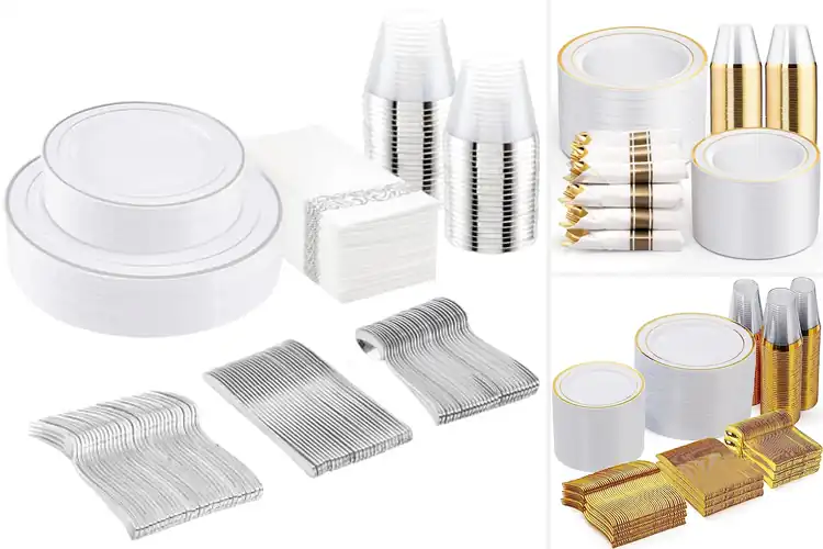 Detailed view of 10 Best Disposable Dinnerware: Elegant BPA-Free Picks