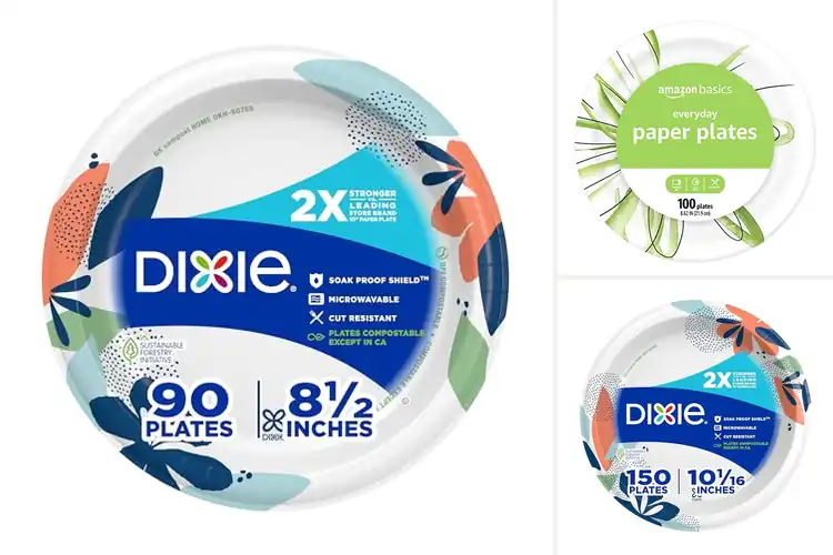 Detailed view of 10 Best Disposable Paper Plates For Everyday Meals: Easy Cleanup