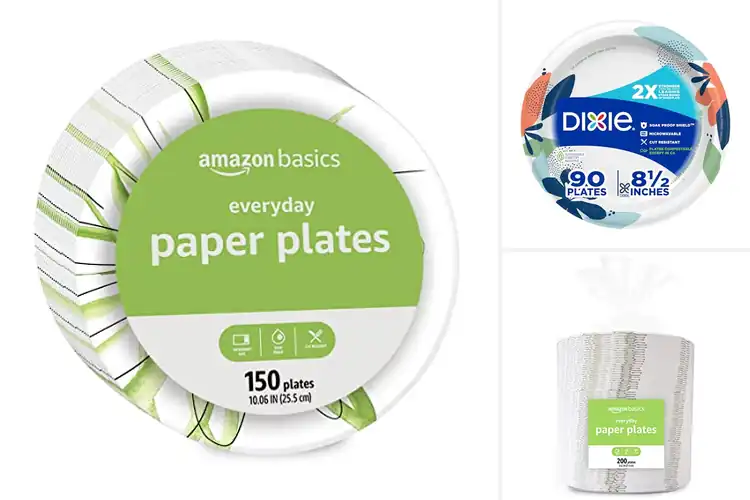Detailed view of 10 Best Disposable Party Plates: Spill-Proof Winners