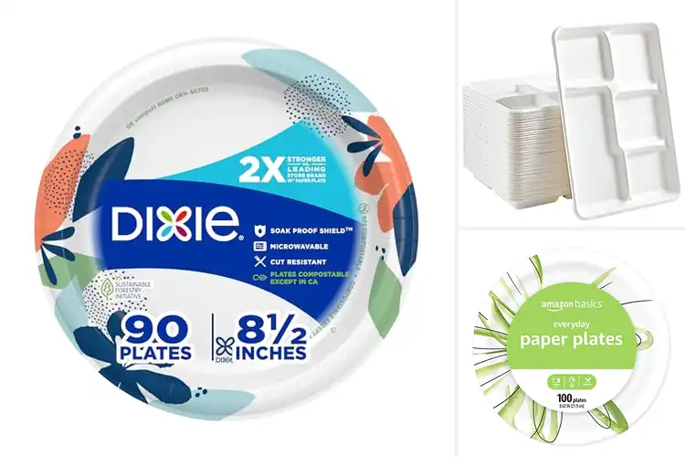 Detailed view of 10 Best Disposable Picnic Plates: Simple, Safe, Eco Picks