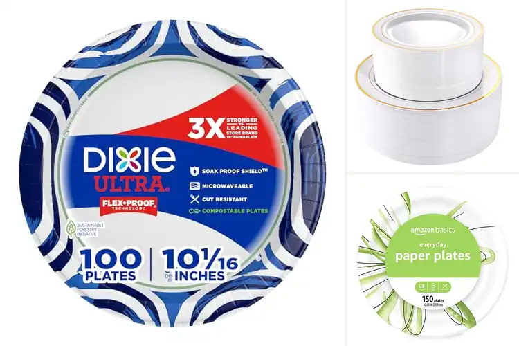 Detailed view of Best Disposable Plates For Dinner