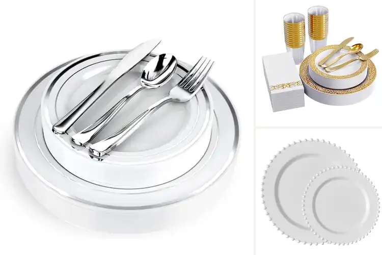 Detailed view of 10 Best Disposable Plates For Dinnerware: Stylish & Strong