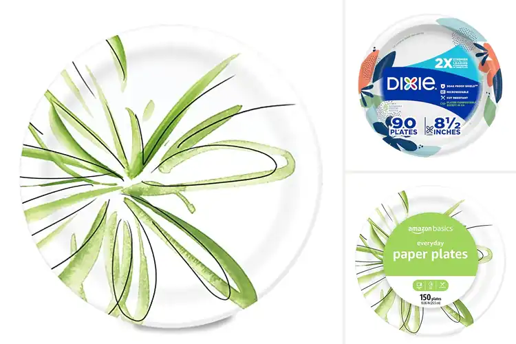 Detailed view of 10 Best Disposable Plates for Everyday Use: Leak-Proof & Sturdy