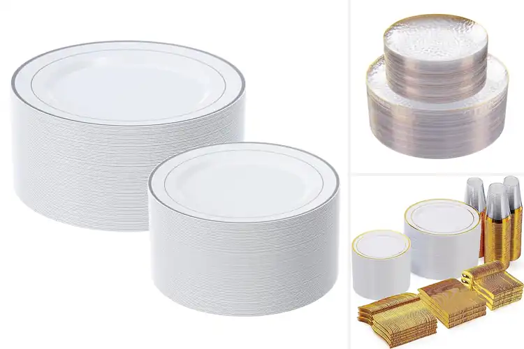Detailed view of 10 Best Disposable Plates For Parties – Chic, Strong Picks