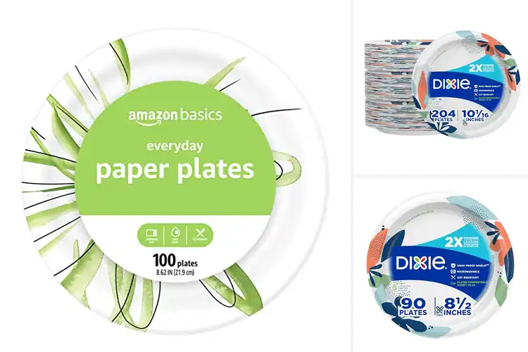 Detailed view of 10 Best Disposable Plates for Easy, Eco‑Friendly Dining