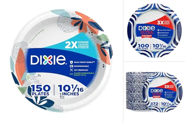 Detailed view of 10 Best Dixie 10 Inch Paper Plates: Top Durable Picks