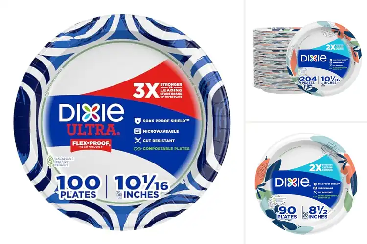 Detailed view of 10 Best Double Strength Paper Plates: Sturdy for Heavy Meals