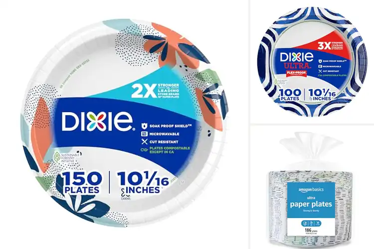 Detailed view of 10 Best Durable Disposable Plates 10 Inch for Every Occasion