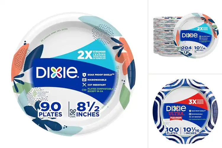 Detailed view of 10 Best Durable Paper Plates for Parties: Sturdy Choices