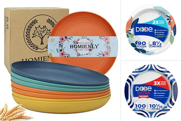 Detailed view of 10 Best Durable Plates: Last for Years, Easy Care