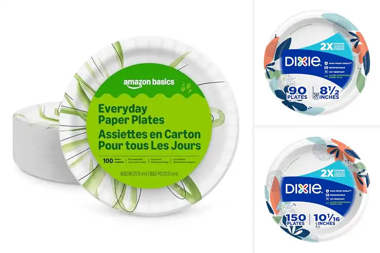 Detailed view of Best Easy-Use Paper Plates