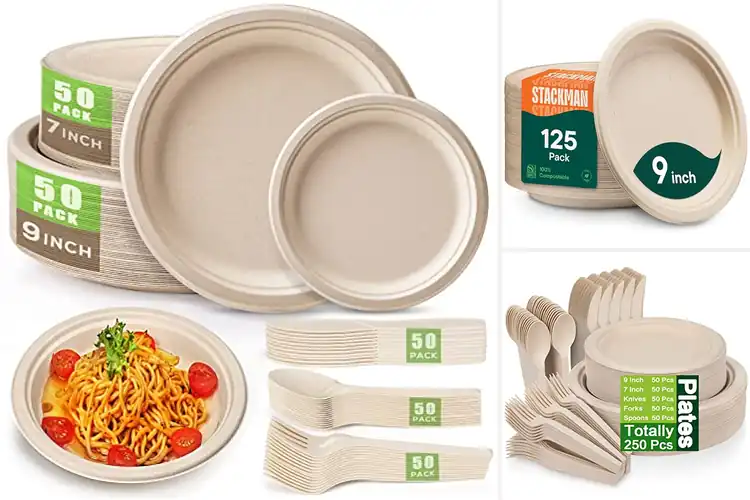 Detailed view of 10 Best Eco-Friendly Disposable Plates: Strong & Compostable