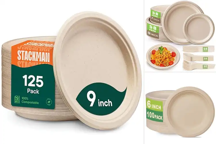 Detailed view of 10 Best Eco Friendly Plates: Sturdy & Compostable