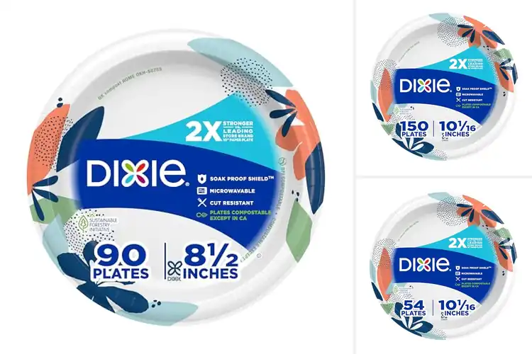 Detailed view of 10 Best Everyday Breakfast Lunch Dinner Plates for Any Meal