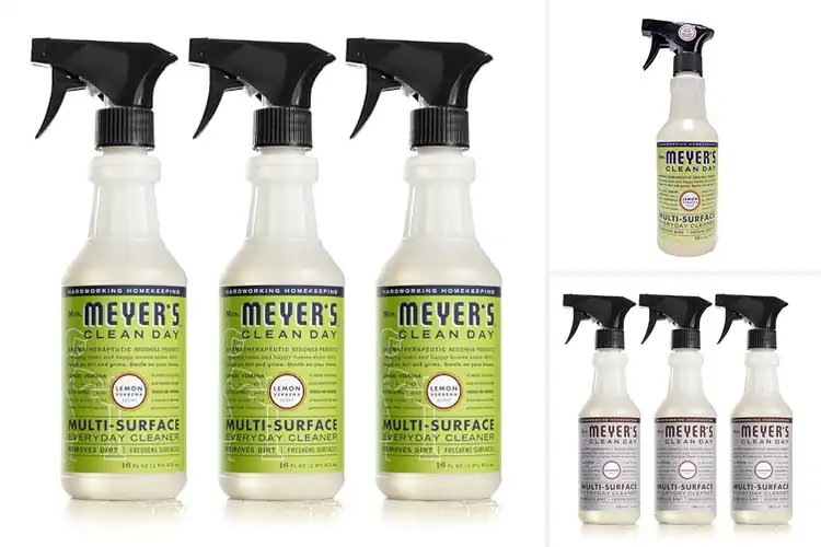 Detailed view of 10 Best Everyday Cleaners