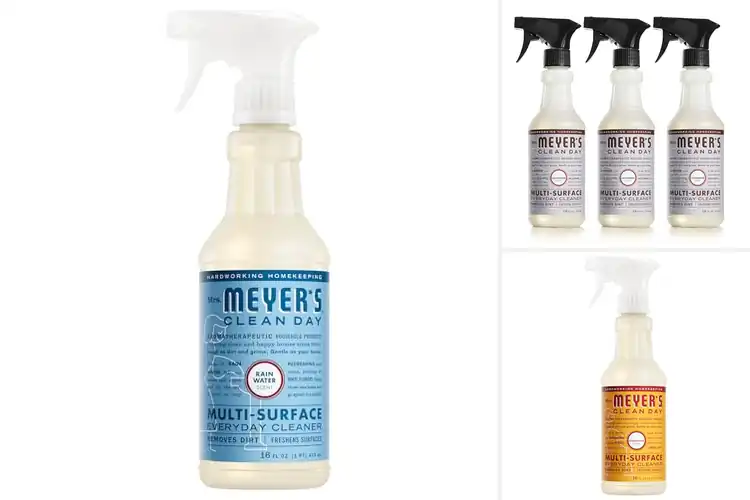 Detailed view of Best Everyday Cleaning