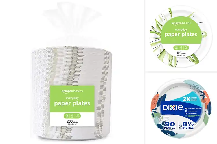 Detailed view of 10 Best Everyday Dinner Party Plates – Easy, Chic & Durable
