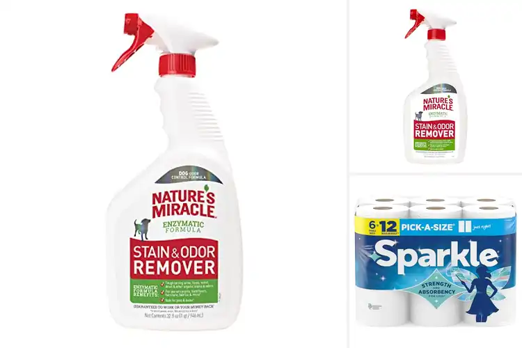 Detailed view of Best Everyday Mess Cleanup