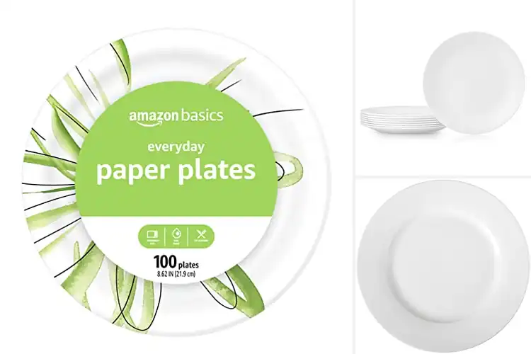 Detailed view of 10 Best Everyday Plates: Durable & Stylish